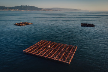 Archivo - Varias bateas para pescar mejillones, a 2 de septiembre, en Pontevedra, Galicia (España). La alta temperatura del agua, sin viento norte y el continuo desove del mejillón alarman a los 'ba