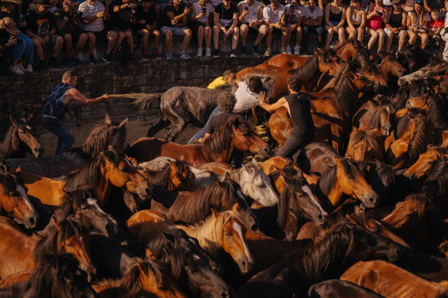 Archivo - Participantes durante de A Rapa Das Bestas, a 5 de julio de 2025, en Sabucedo, Pontevedra, Galicia (España)
