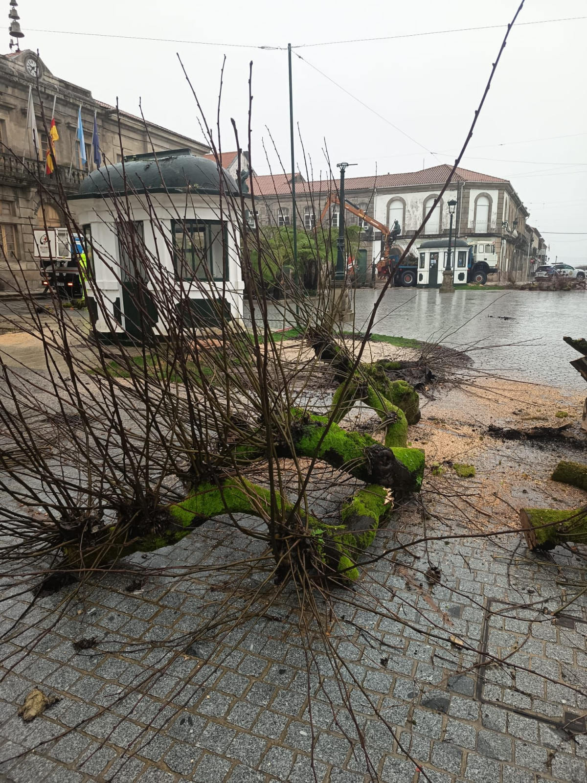 WhatsApp Image 2026 03 03 at 12.26.51