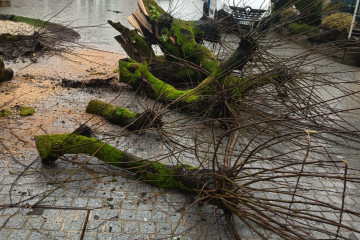 WhatsApp Image 2026 03 03 at 12.26.51 (1)