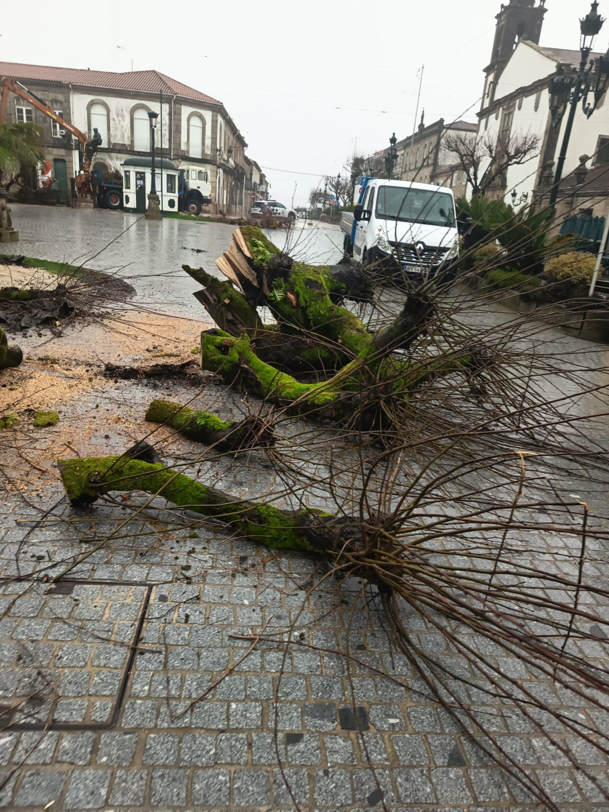 WhatsApp Image 2026 03 03 at 12.26.51 (1)