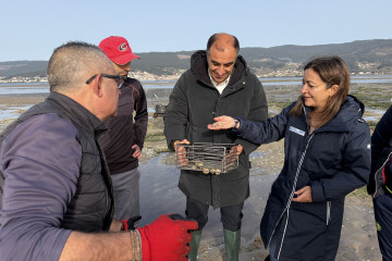 Marta Villaverde, observando parte de la almeja recogida por los mariscadores