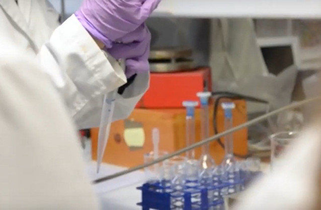 Archivo - Talleres de fomento de vocaciones científicas en niñas y adolescentes.