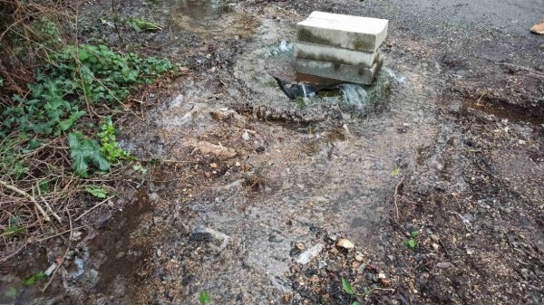 La organización ecologista Adega denuncia vertidos en el río Valiña