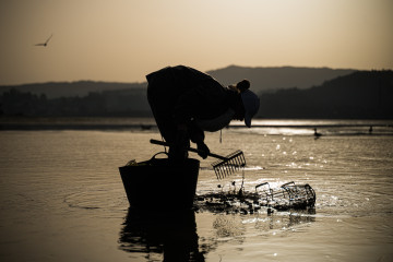 Una mariscadora trabaja en la Playa de Lourido, a 3 de marzo de 2026, en Pontevedra