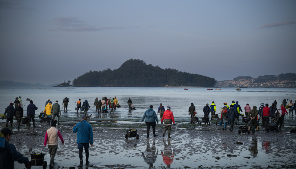 Mariscadores trabajan en la Playa de Lourido, a 3 de marzo de 2026, en Pontevedra, Galicia (España). Los temporales que han dejado intensas lluvias en los meses de enero y febrero en Galicia han prov