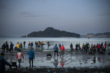 Mariscadores trabajan en la Playa de Lourido, a 3 de marzo de 2026, en Pontevedra, Galicia (España). Los temporales que han dejado intensas lluvias en los meses de enero y febrero en Galicia han prov