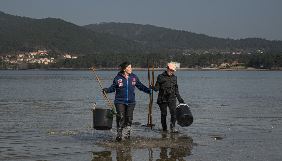 Mariscadoras recogen el marisco muerto en la playa del Testal en Noia (A Coruña)