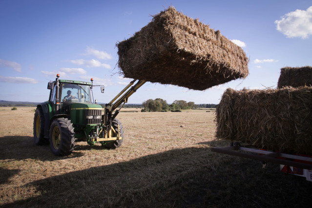 Archivo - Un tractor durante la recogida de trigo en la parroquia de Calvo, a 31 de julio de 2023, en Abadin, Lugo, Galicia (España). El sector ganadero prevé un aumento de los costes de piensos y forrajes los próximos meses, debido a que España enfrenta