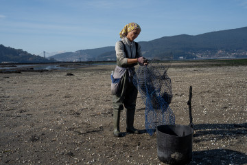 Archivo - Una mujer sujeta una red en la ensenada de San Simón, Rías Baixas, a 17 de noviembre de 2023, Pontevedra, Galicia (España). La mortandad del marisco se extiende por las rías gallegas tra