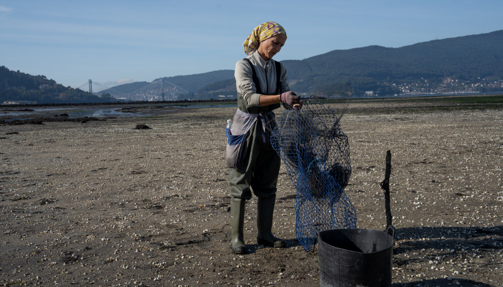 Archivo - Una mujer sujeta una red en la ensenada de San Simón, Rías Baixas, a 17 de noviembre de 2023, Pontevedra, Galicia (España). La mortandad del marisco se extiende por las rías gallegas tra