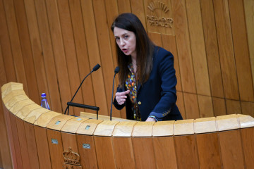 La conselleira de Medio Rural, María José Gómez, en el pleno del Parlamento, a 11 de marzo de 2026.