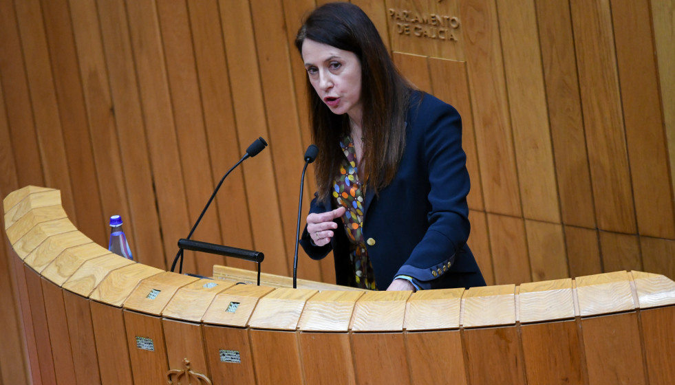 La conselleira de Medio Rural, María José Gómez, en el pleno del Parlamento, a 11 de marzo de 2026.