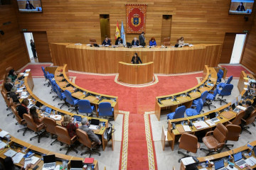 La conselleira do Medio Rural, María José Gómez, en una intervención parlamentaria en el Pazo do Hórreo.