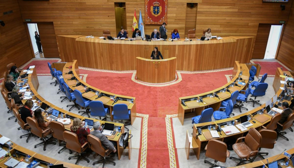 La conselleira do Medio Rural, María José Gómez, en una intervención parlamentaria en el Pazo do Hórreo.
