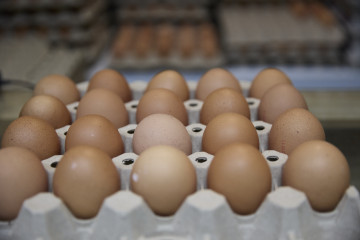 Archivo - Huevos, a 20 de noviembre de 2025, Madrid (España). El precio de los huevos en España se ha disparado un 22,5% interanual en octubre según los datos confirmados por el INE, y su precio se