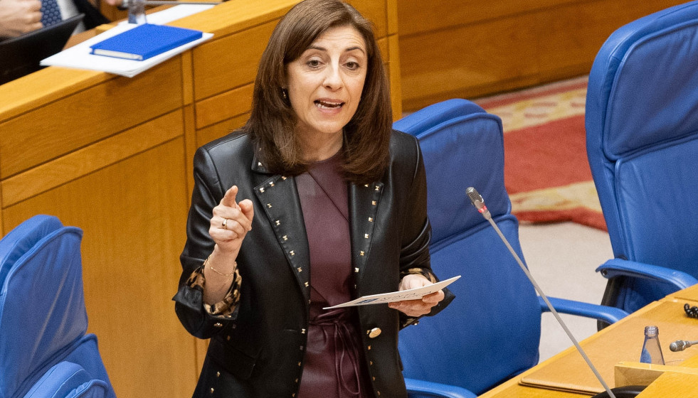La conselleira de Medio Ambiente, Ángeles Vázquez, en el pleno