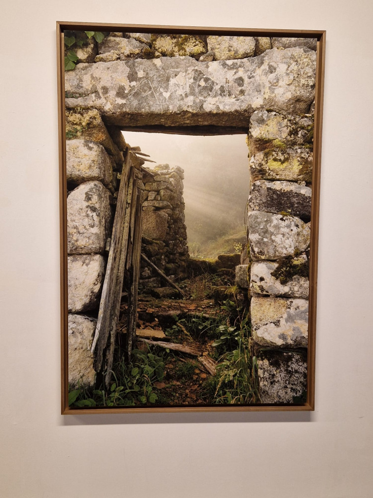 Saleta Rosón lleva los bosques de Galicia a Barcelona con una exposición de fotografías