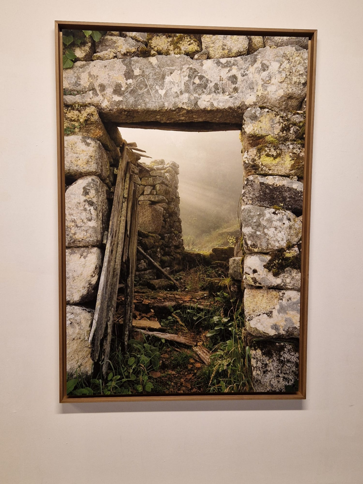 Obra de Saleta Rosu00f3n en Valid Foto