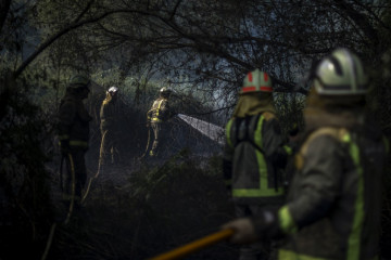 Bomberos forestales