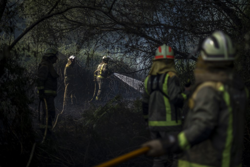 Bomberos forestales