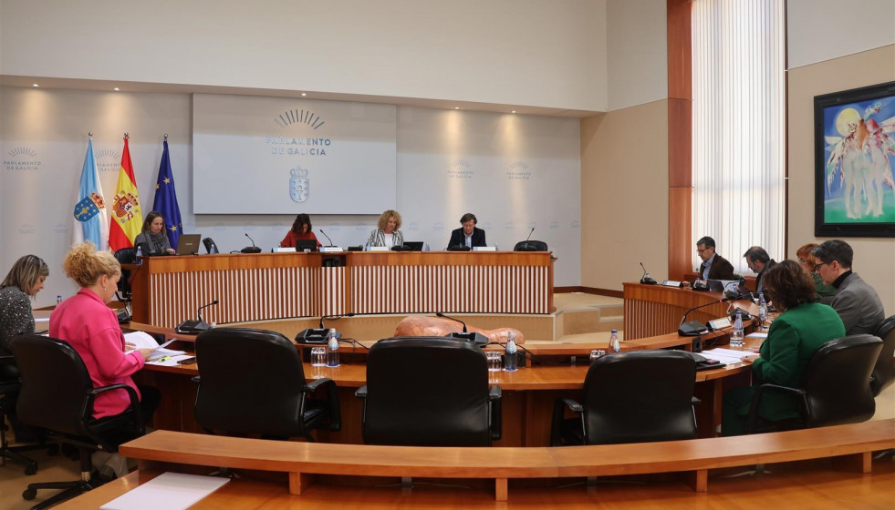 Archivo - Comisión 1ª, Institucional, de Administración Xeral, Xustiza e Interior del Parlamento de Galicia.