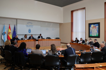 Archivo - Comisión 1ª Institucional, de Administración Xeral, Xustiza e Interior