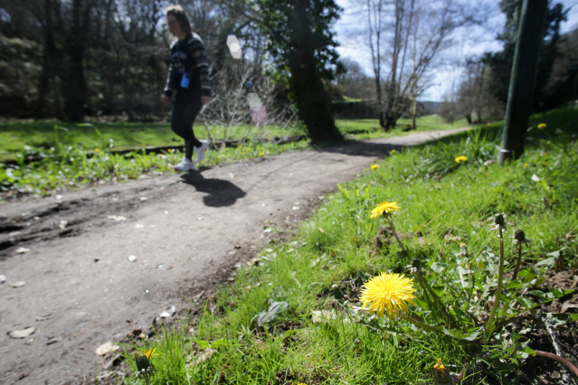 Archivo - Una persona hace footing con las primeras flores de la primavera. Foto de archivo.