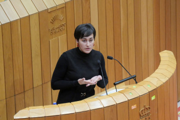 La diputada del BNG Ariadna Fernández