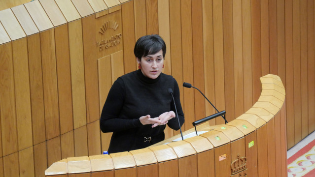 La diputada del BNG Ariadna Fernández