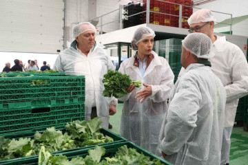 La Conselleira Do Medio Rural, María José Gómez, Visita Hortalizas R. López SL