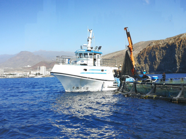 Archivo - Imagen de archivo de un pesquero.