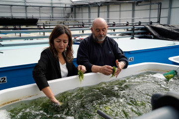 La conselleira do Mar, Marta Villaverde, visita las instalaciones de Algafrés