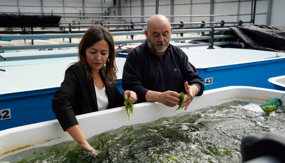 La conselleira do Mar, Marta Villaverde, visita las instalaciones de Algafrés