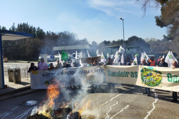 Photo 5911478736249359465 y