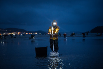 Archivo - Las mariscadoras de la Cofradía de San Telmo trabajan en la zona del Ameixal, a 4 de diciembre de 2025, en Pontevedra, Galicia (España). Las mariscadoras han arrancado hoy la campaña de N