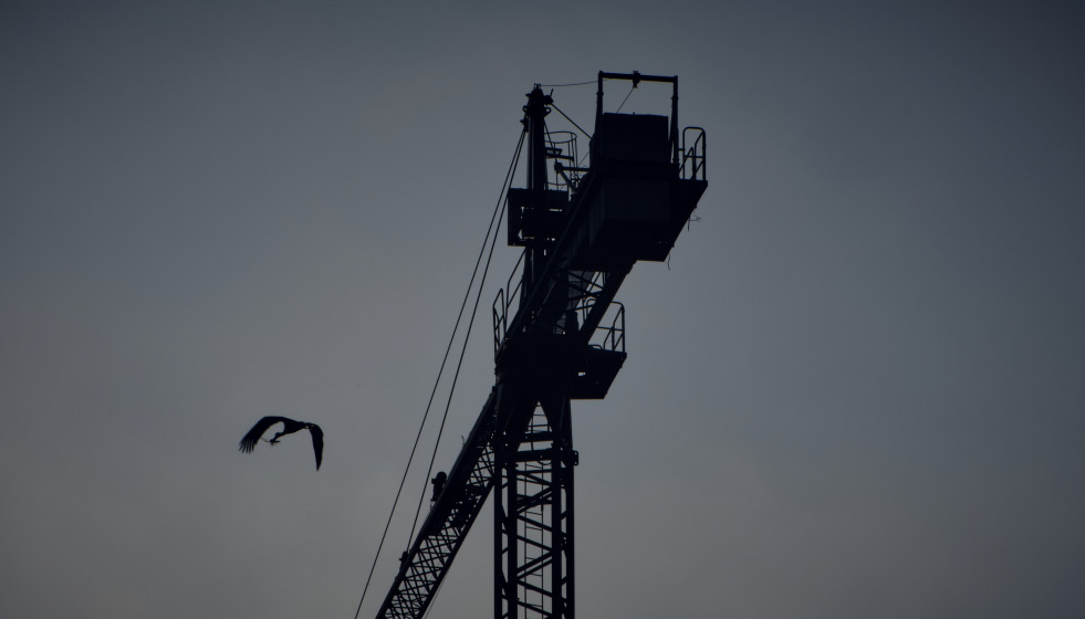 Archivo - Una grúa de construcción, a 19 de abril de 2023, en Ourense, Galicia (España). La Federación Nacional de Asociaciones Inmobiliarias (FAI) ha señalado que las viviendas que la Sociedad d