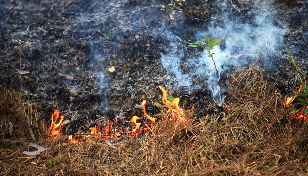 Archivo - Quema forestal