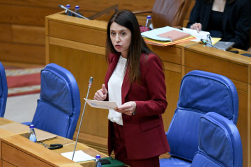 La conselleira de Medio Rural, María José Gómez, en el pleno del Parlamento