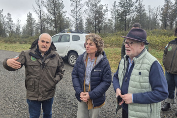 La directora xeral de Ordenación Forestal, Luisa Piñeiro, en una visita a Abadín.