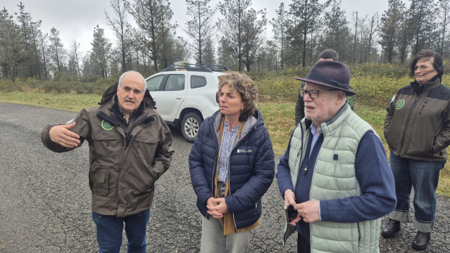 La directora xeral de Ordenación Forestal, Luisa Piñeiro, en una visita a Abadín.