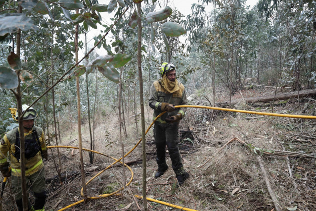 Archivo - Bomberos trabajan en las tareas de extinción del incendio forestal en Cervo, a 5 de noviembre de 2025, en Cervo, Lugo, Galicia (España).
