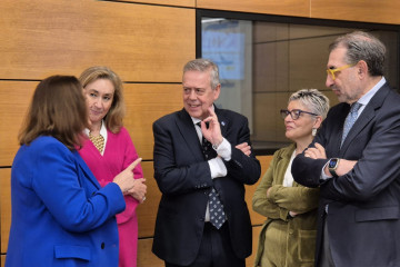 El conselleiro de Sanidade, Antonio Gómez Caamaño, asiste al Consejo Interterritorial del Sistema Nacional de Salud, en Madrid.