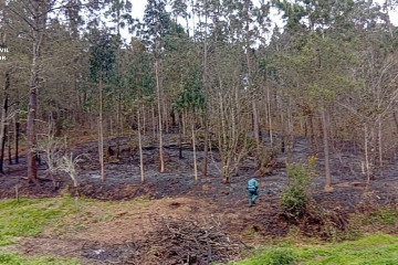 Incendio en Miño