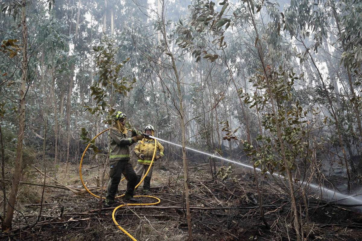 Archivo - Bomberos trabajan en las tareas de extinción del incendio forestal en Cervo, a 5 de noviembre de 2025, en Cervo, Lugo, Galicia (España).
