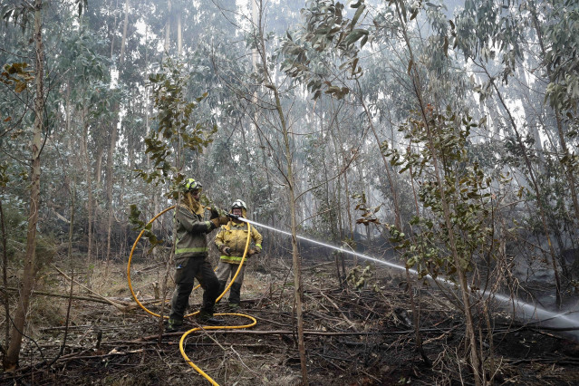 Archivo - Bomberos trabajan en las tareas de extinción del incendio forestal en Cervo, a 5 de noviembre de 2025, en Cervo, Lugo, Galicia (España).