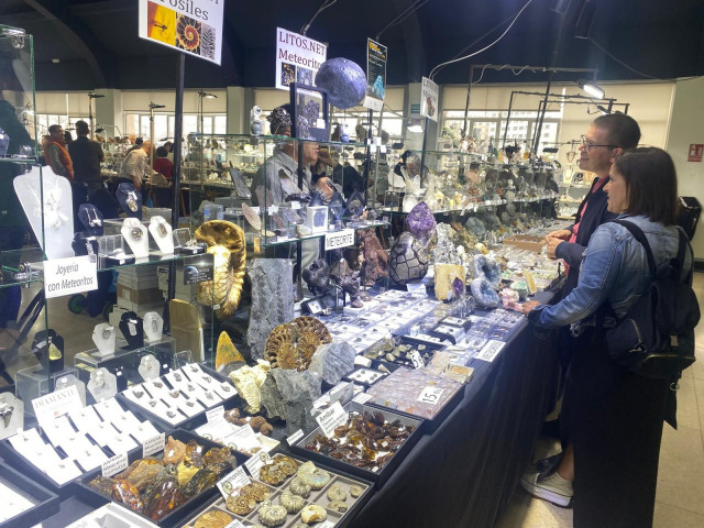 Imagen de Minervigo.