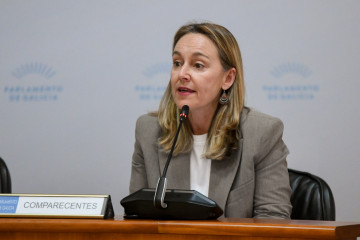 La directora xeral de Enerxías Renovables, Paula Uría