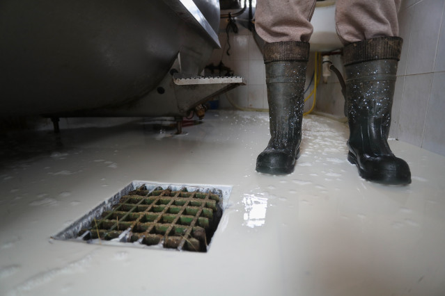 Un ganadero vierte la leche acumulada en el tanque de frío tras el séptimo día sin poder vender su leche