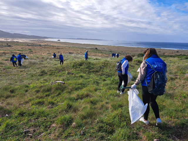 Voluntarios limpiando las dunas de Corrubedo